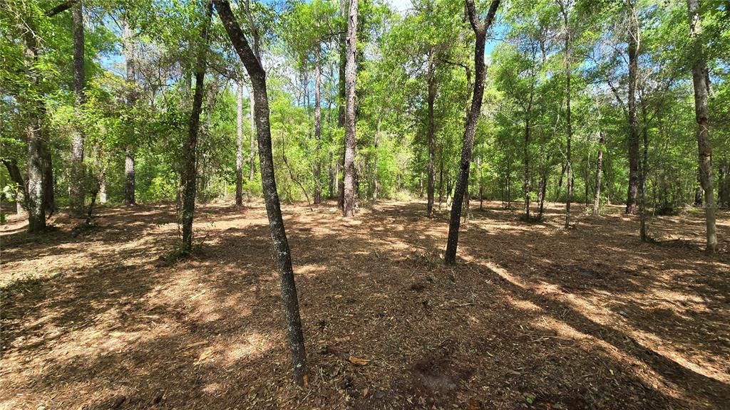 For Sale: $12,900 (0.24 acres)
