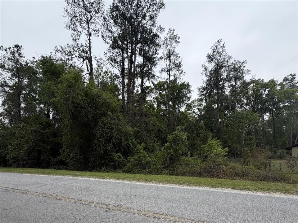 На продажу: $45,000 (1.02 acres)
