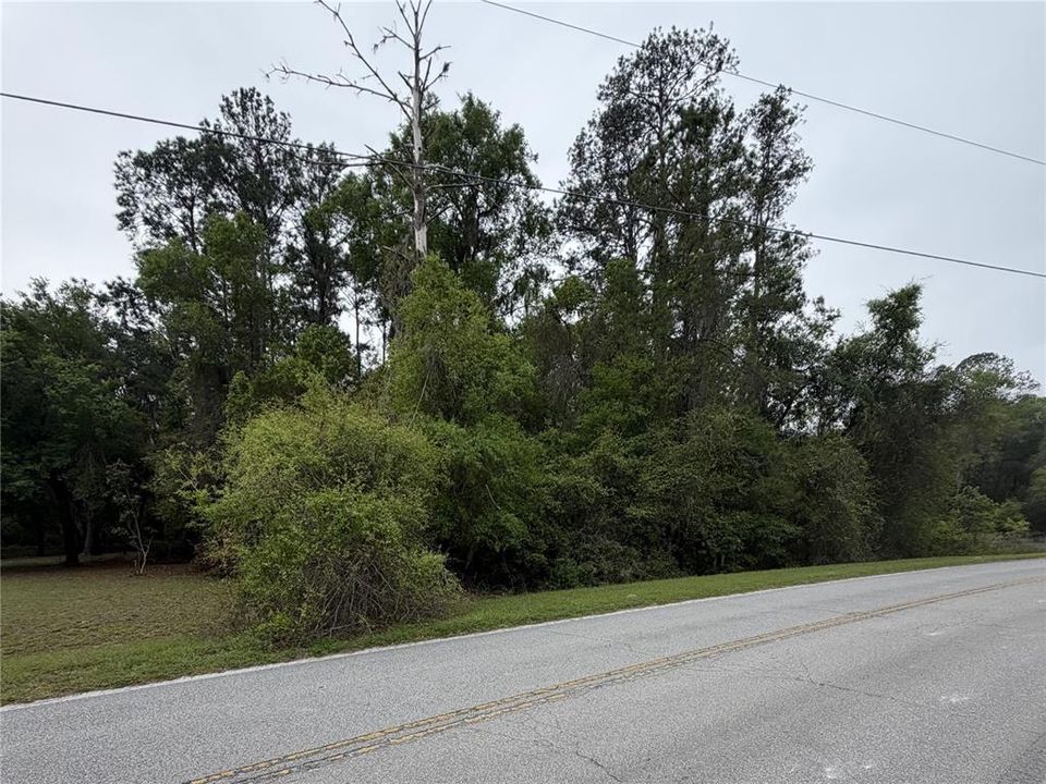 На продажу: $45,000 (1.02 acres)