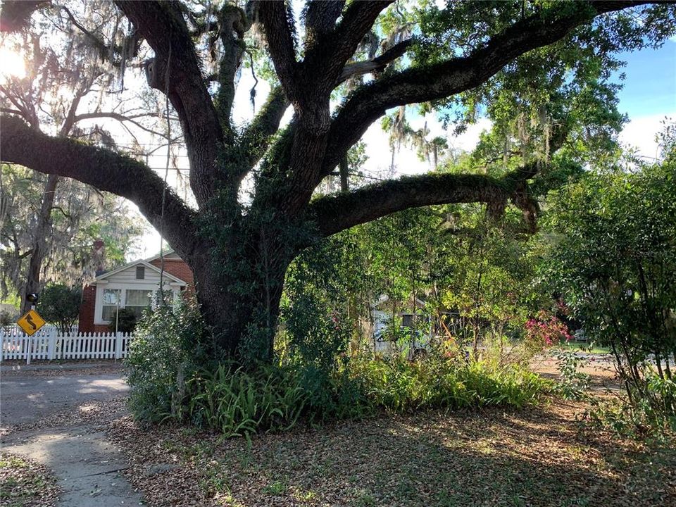 En Venta: $379,000 (3 camas, 2 baños, 1945 Pies cuadrados)