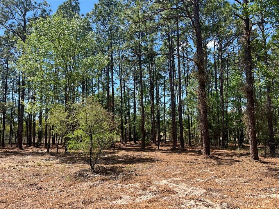 En Venta: $38,500 (1.01 acres)