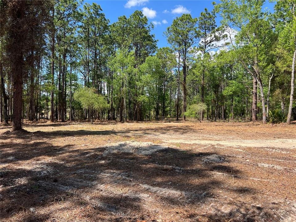 En Venta: $38,500 (1.01 acres)