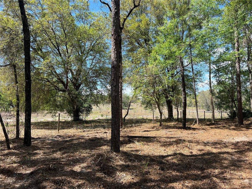 En Venta: $38,500 (1.01 acres)