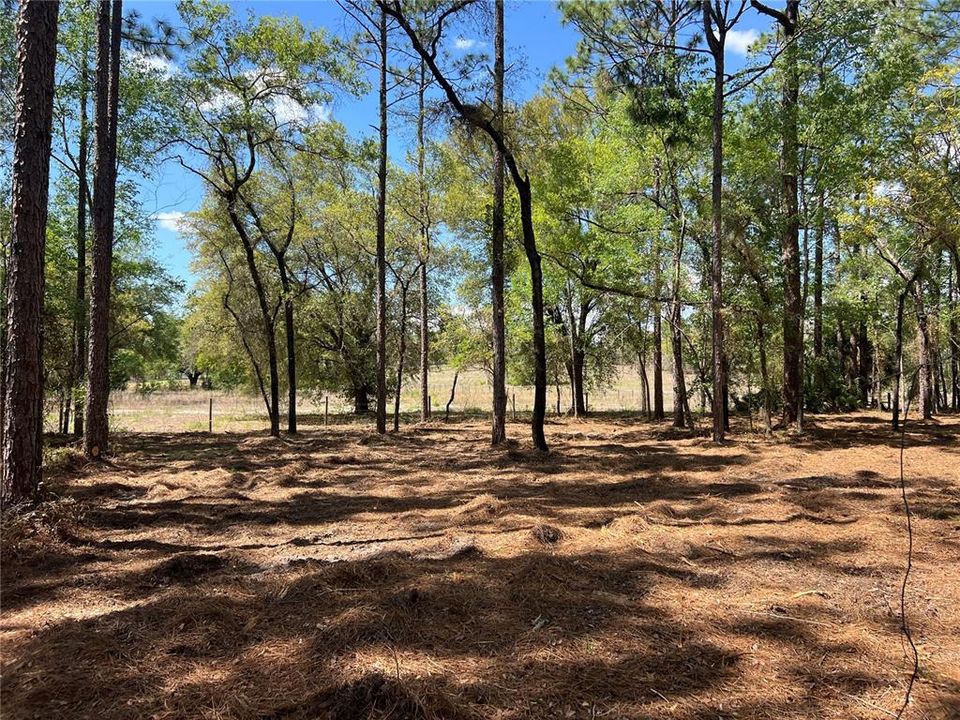 En Venta: $38,500 (1.01 acres)