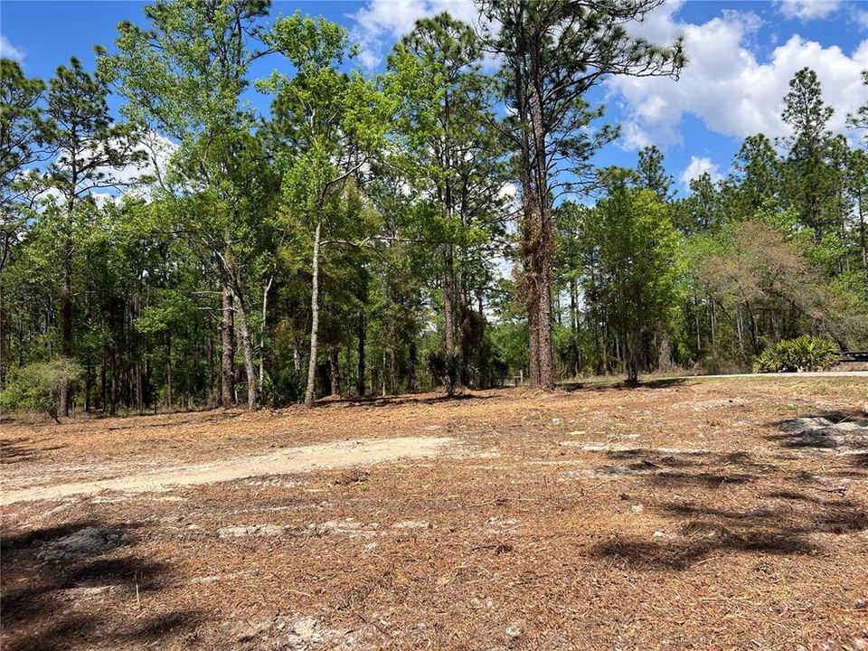 En Venta: $38,500 (1.01 acres)