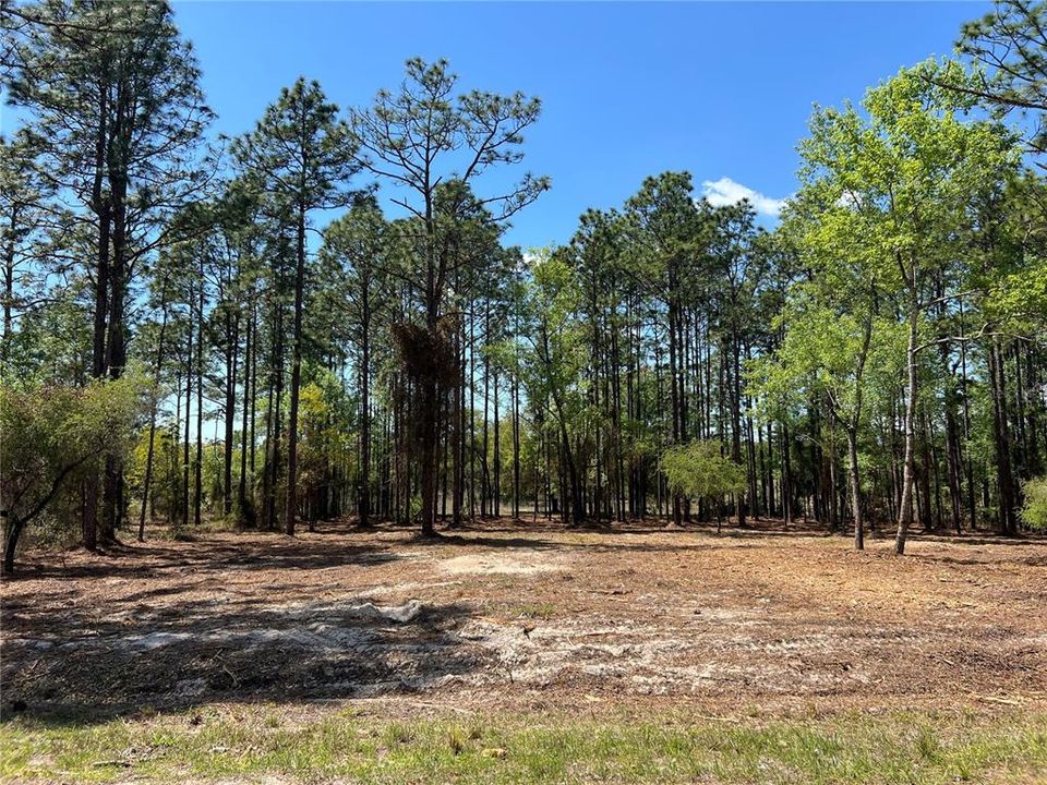 En Venta: $38,500 (1.01 acres)