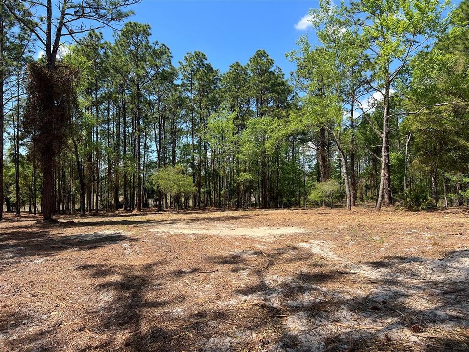 En Venta: $38,500 (1.01 acres)