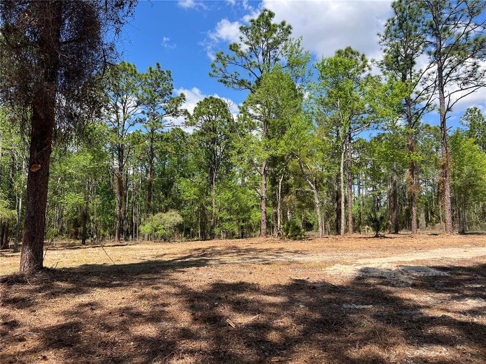 En Venta: $38,500 (1.01 acres)