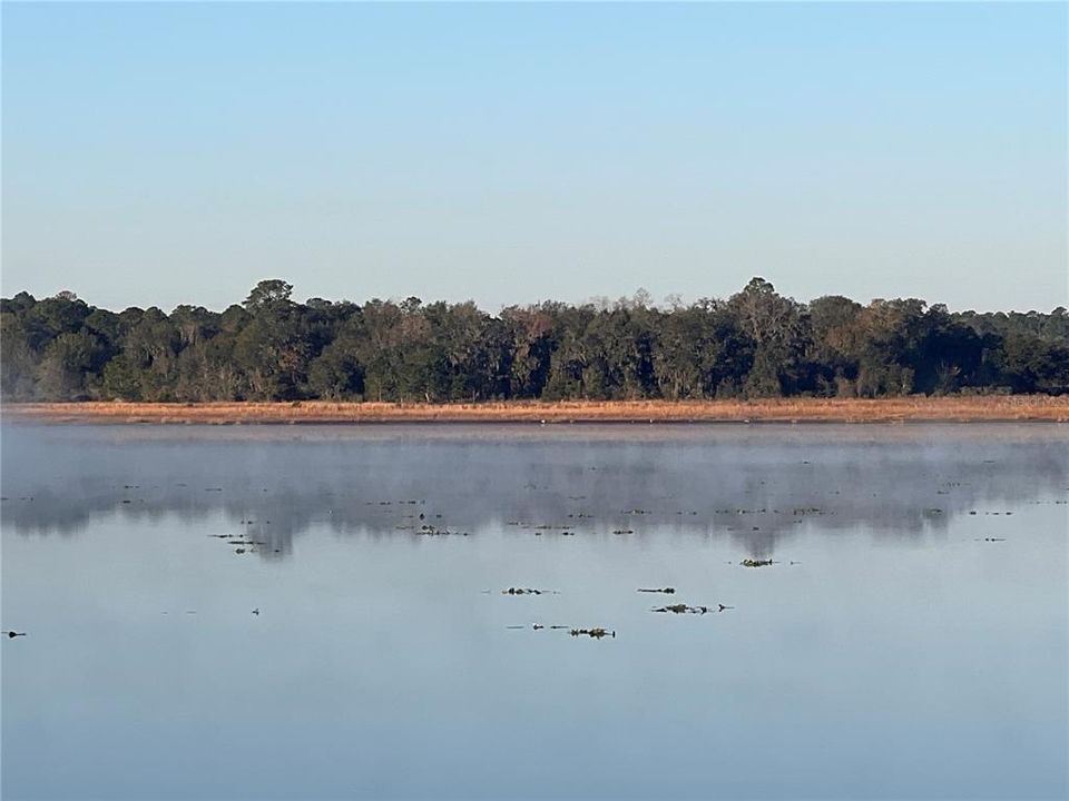 Activo con contrato: $36,500 (1.01 acres)