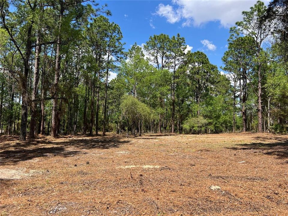 En Venta: $38,500 (1.01 acres)