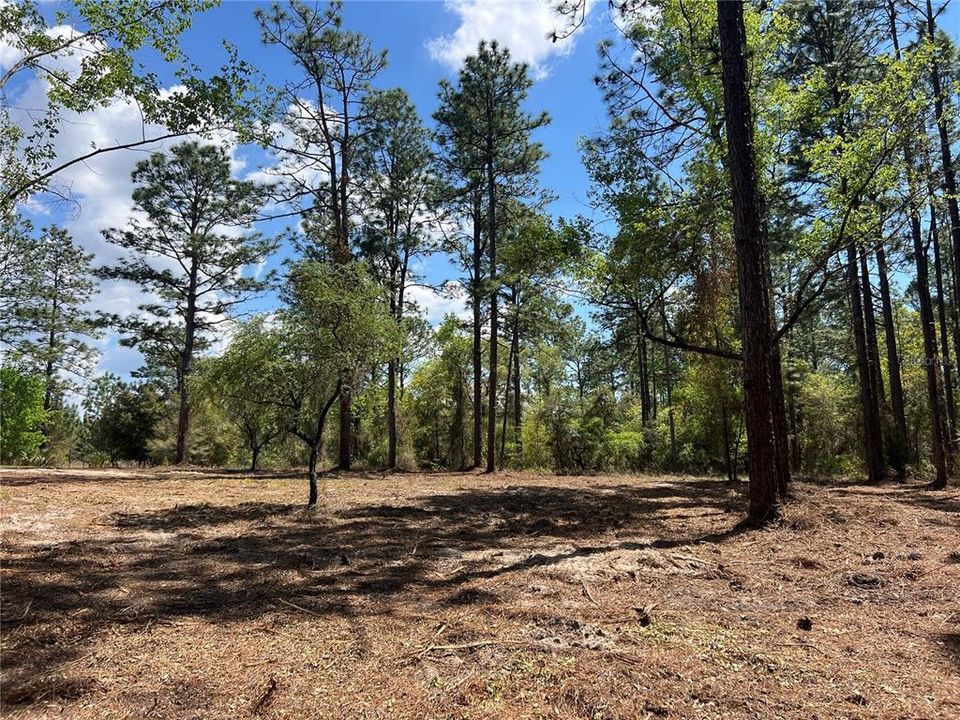 En Venta: $38,500 (1.01 acres)