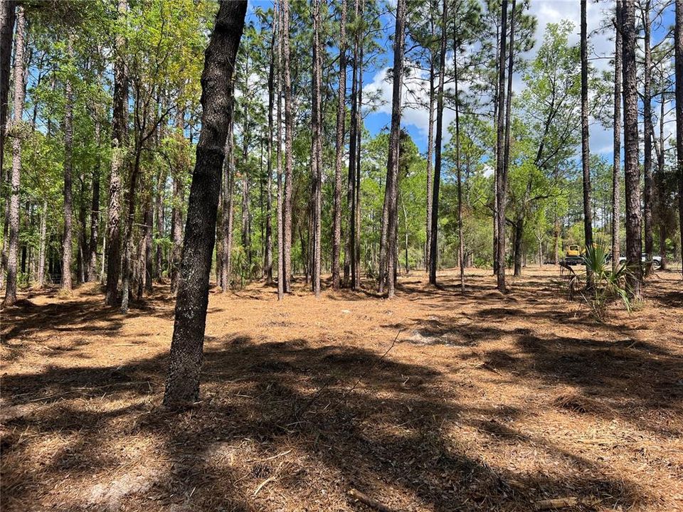 En Venta: $38,500 (1.01 acres)