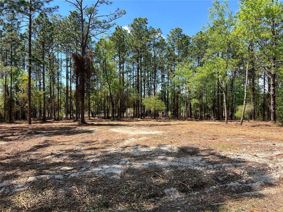 En Venta: $38,500 (1.01 acres)