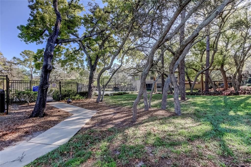 Active With Contract: $200,000 (1 beds, 1 baths, 893 Square Feet)