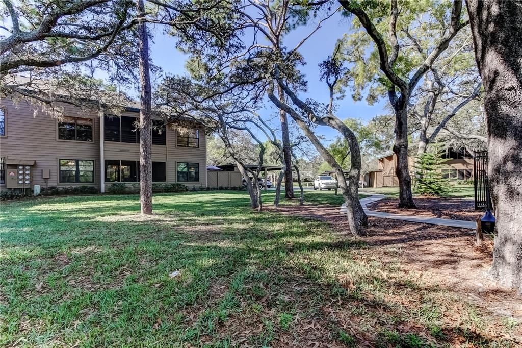 Active With Contract: $200,000 (1 beds, 1 baths, 893 Square Feet)