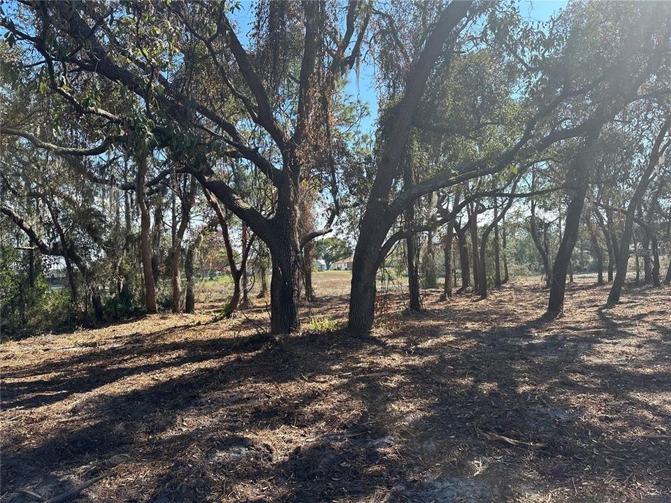 待售: $79,900 (0.72 acres)