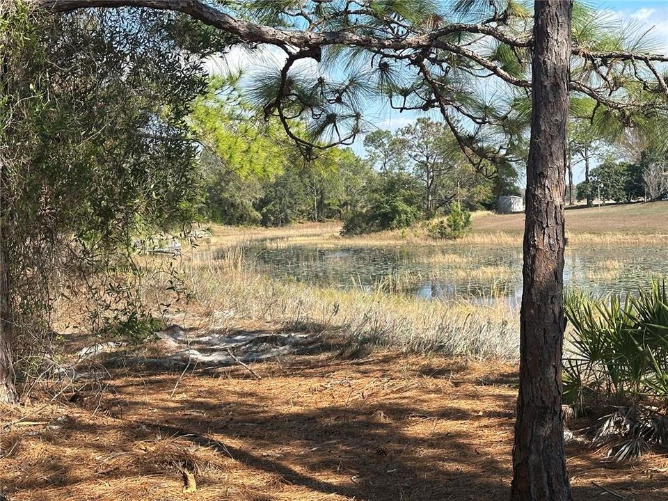 待售: $79,900 (0.72 acres)