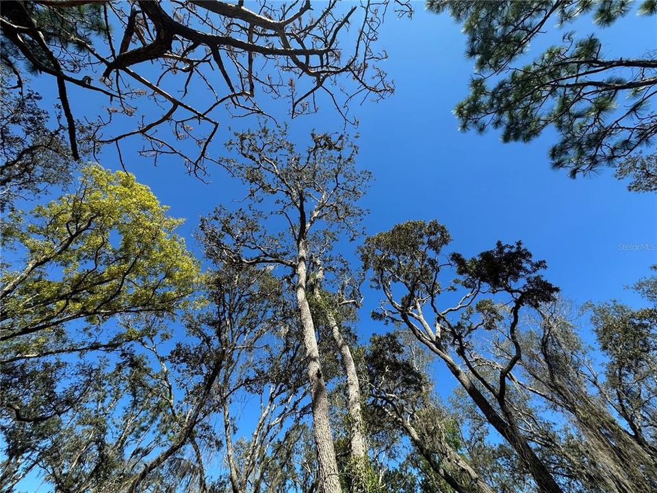 待售: $79,900 (0.72 acres)