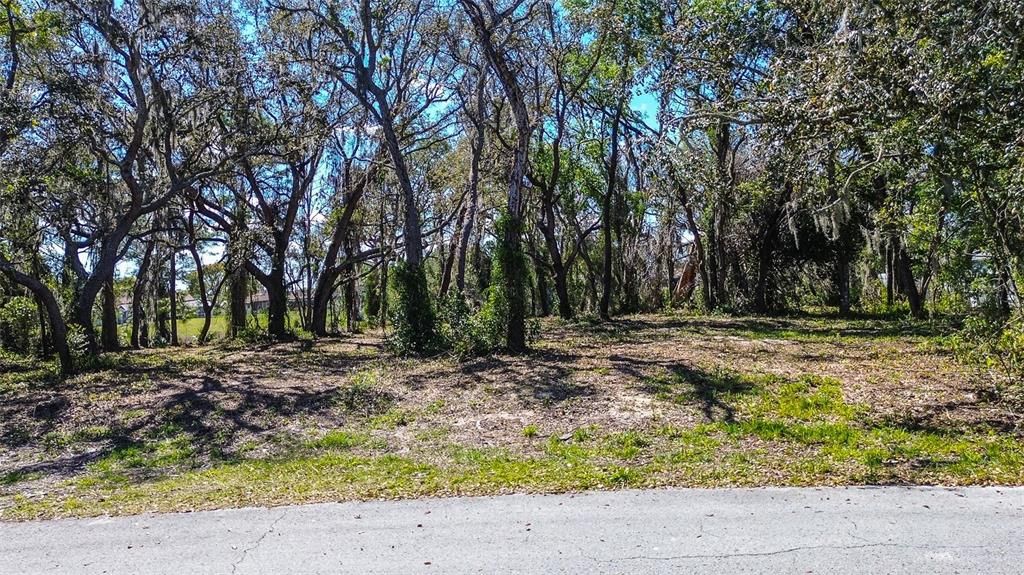 待售: $79,900 (0.72 acres)