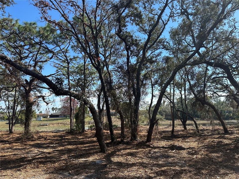 待售: $79,900 (0.72 acres)