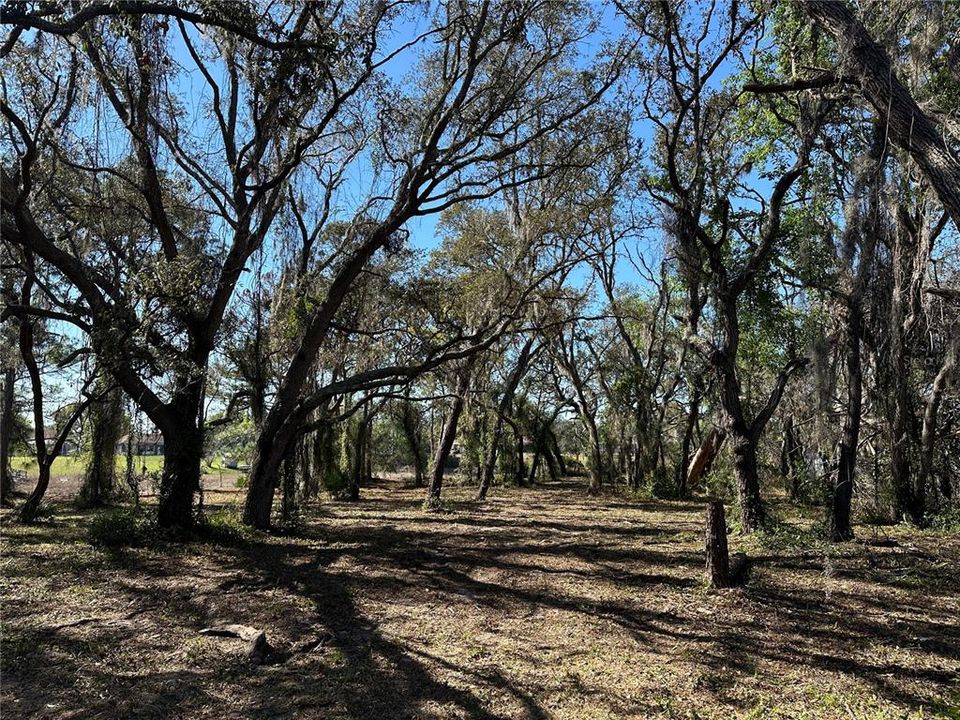 待售: $79,900 (0.72 acres)