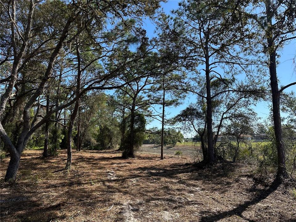 待售: $79,900 (0.72 acres)