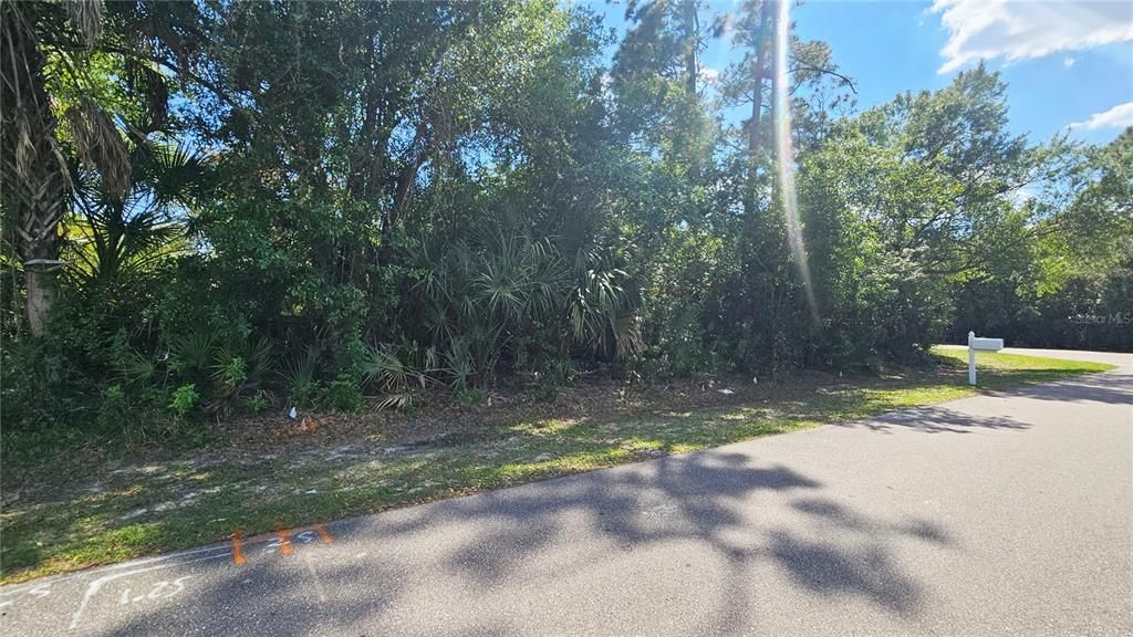 На продажу: $99,900 (0.46 acres)
