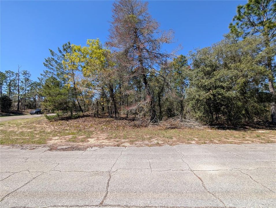 待售: $17,500 (0.28 acres)