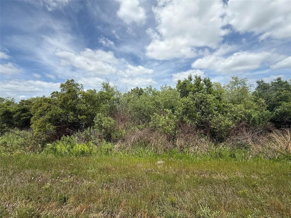 待售: $22,900 (1.50 acres)