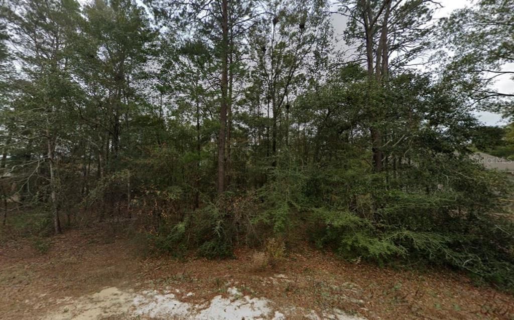 En Venta: $49,999 (0.79 acres)