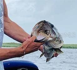 En Venta: $20,900 (1.25 acres)