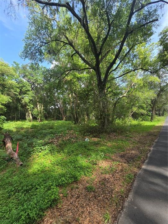 待售: $184,900 (1.60 acres)