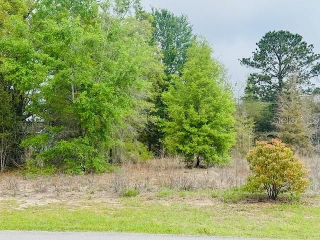 На продажу: $42,500 (0.44 acres)