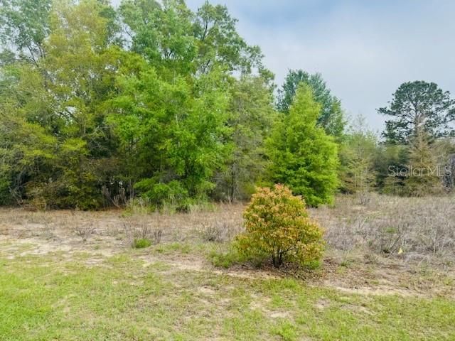 На продажу: $42,500 (0.44 acres)