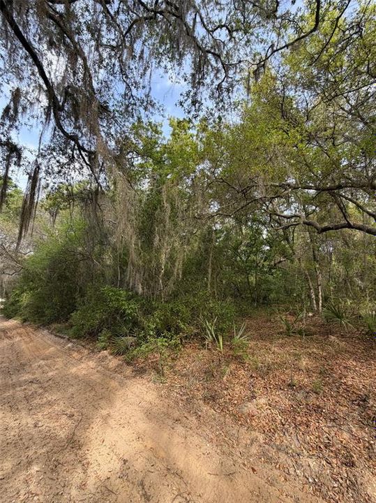 На продажу: $6,500 (0.23 acres)