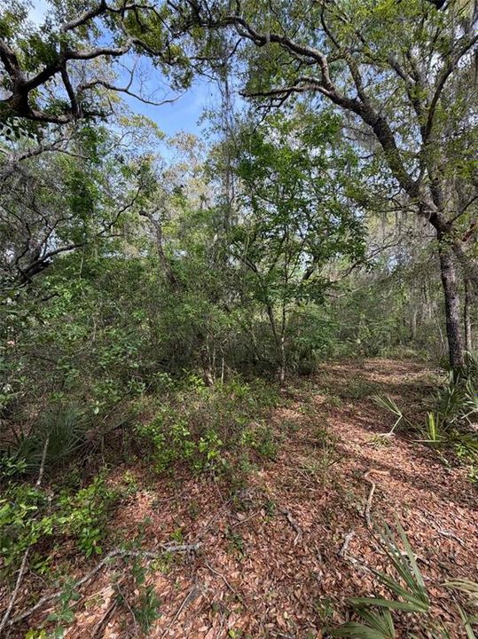 На продажу: $6,500 (0.23 acres)