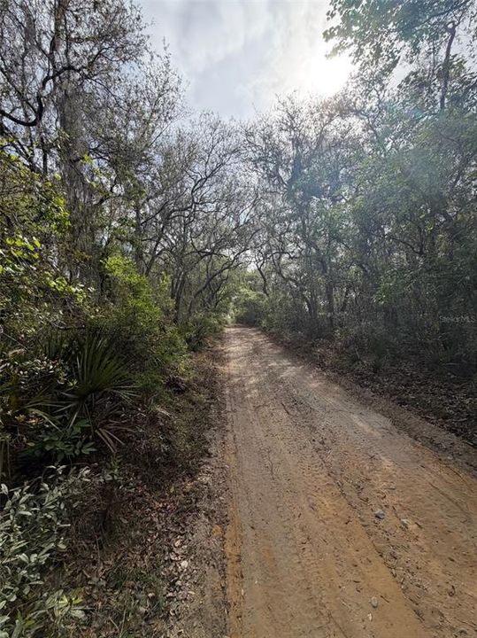 На продажу: $6,500 (0.23 acres)