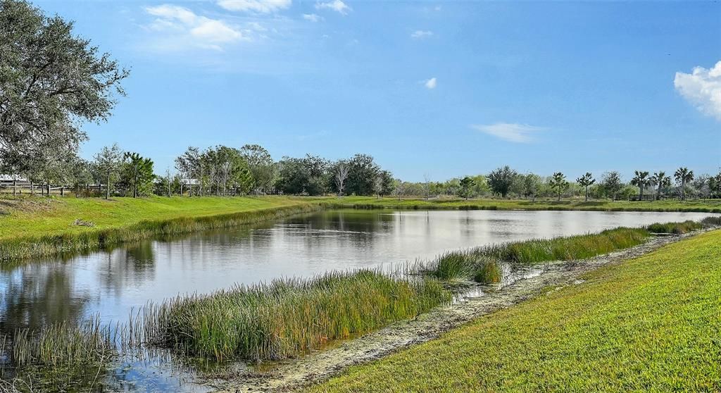 En Venta: $1,495,000 (4 camas, 4 baños, 3857 Pies cuadrados)
