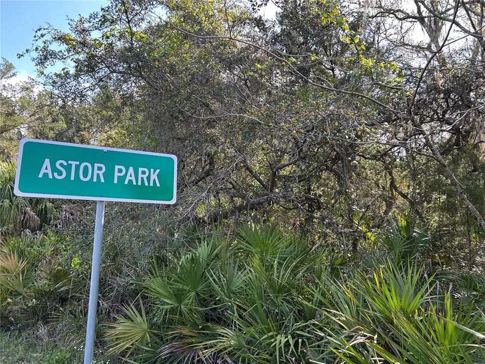 For Sale: $50,000 (1.36 acres)