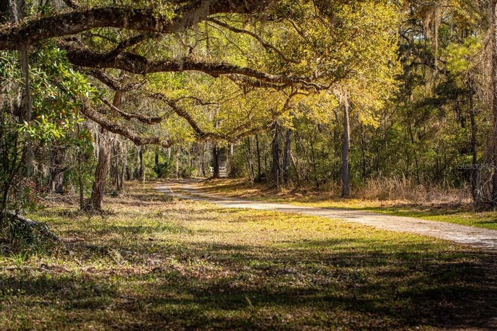 待售: $732,500 (3 贝兹, 2 浴室, 1836 平方英尺)
