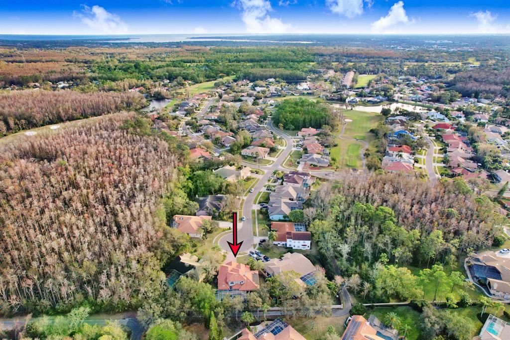 Под контрактом: $999,900 (4 спален, 3 ванн, 3300 Квадратных фут)