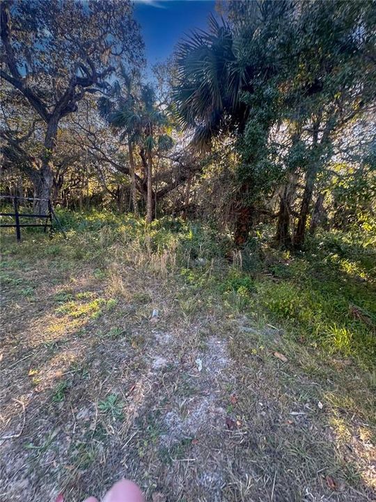 For Sale: $799,000 (1.14 acres)