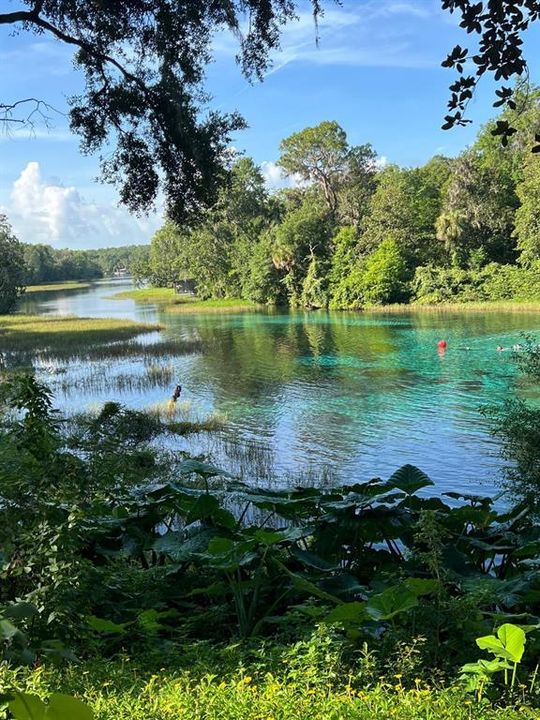 Active With Contract: $21,000 (1.01 acres)