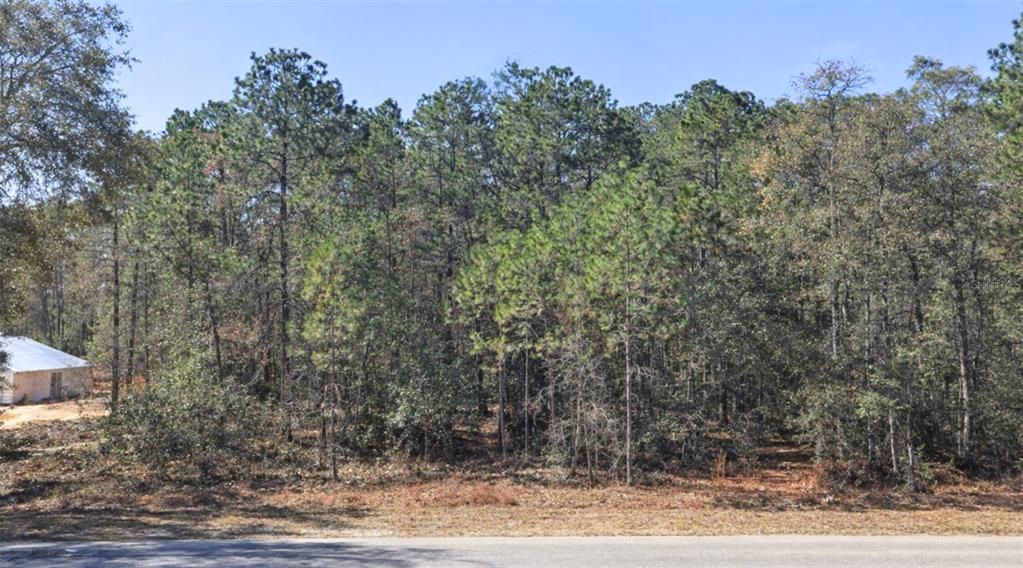 Active With Contract: $21,000 (1.01 acres)