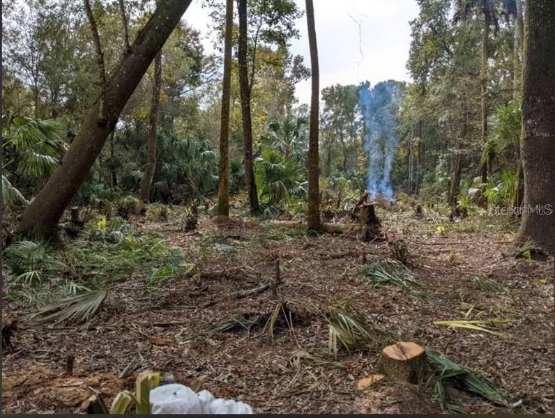 待售: $89,999 (1.16 acres)