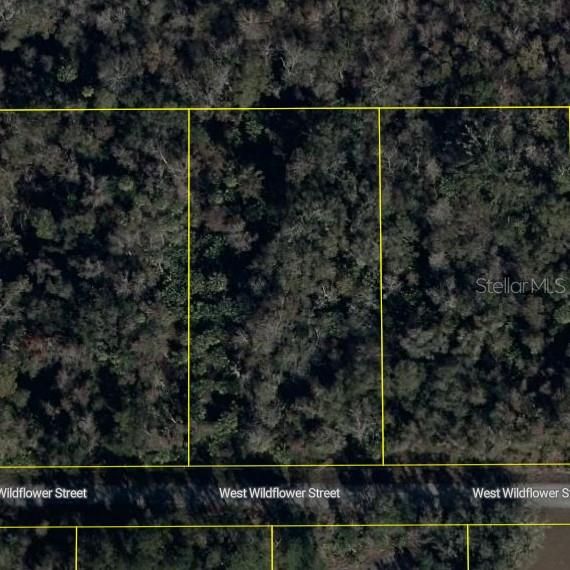 待售: $89,999 (1.16 acres)