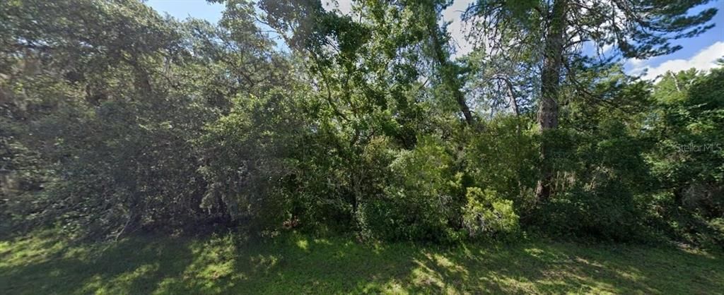 待售: $45,000 (0.35 acres)