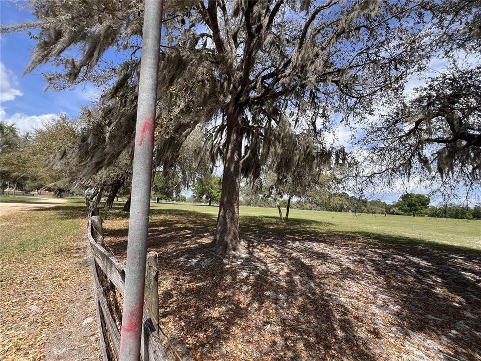 For Sale: $399,000 (10.00 acres)