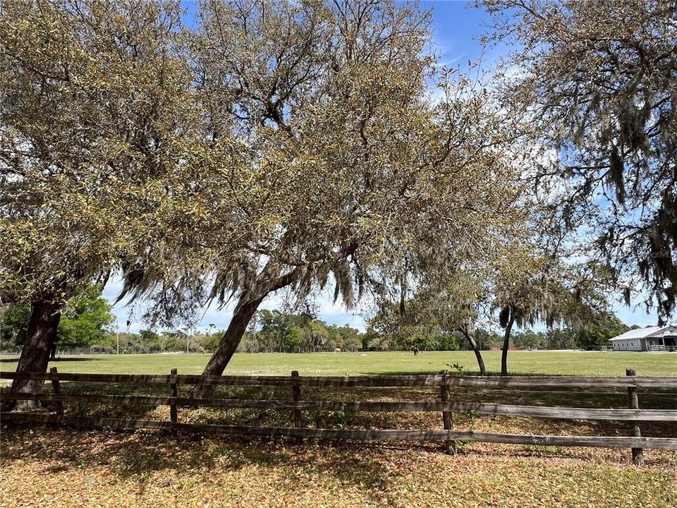 For Sale: $399,000 (10.00 acres)