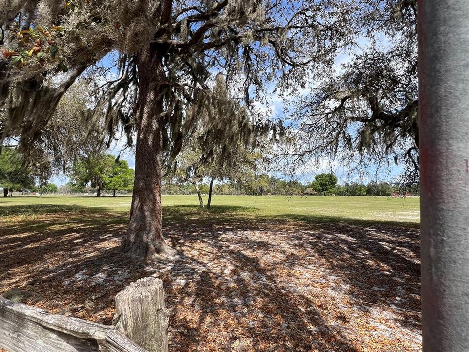 For Sale: $399,000 (10.00 acres)